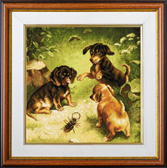X-1139, Puppies at play