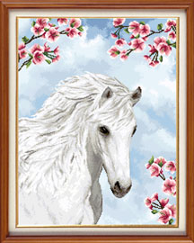 X-1152, Beautiful horse